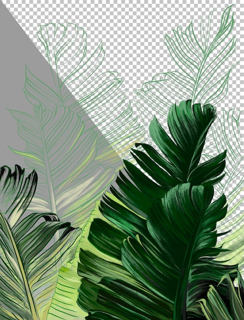 Graphic tropical leaves and plants illustration