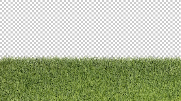 Grass cutout 3d rendering illustration