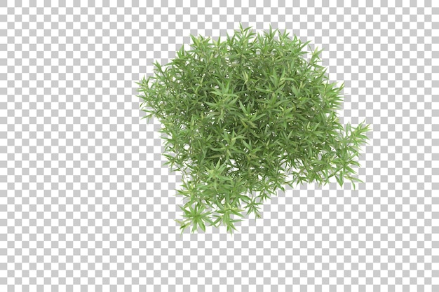 grass field for composition isolated on background with mask 3d rendering illustration