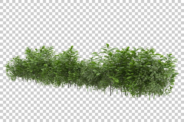 grass field for composition isolated on background with mask 3d rendering illustration