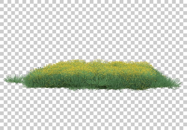 Grass field on transparent background 3d rendering illustration