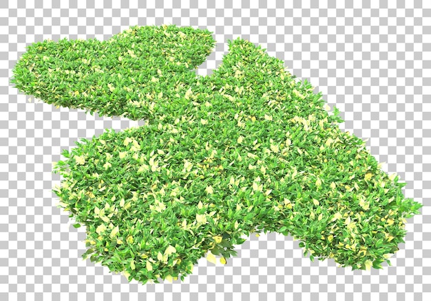 Grass field on transparent background 3d rendering illustration