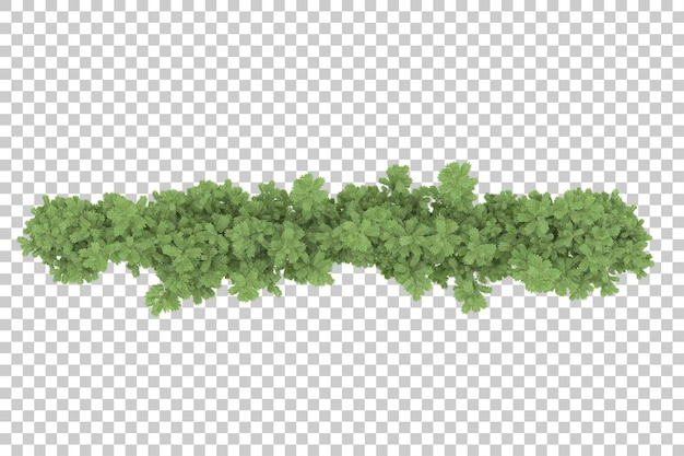 Grass field with transparent background 3d rendering illustration