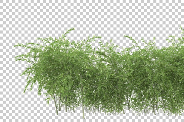 Grass field with transparent background 3d rendering illustration