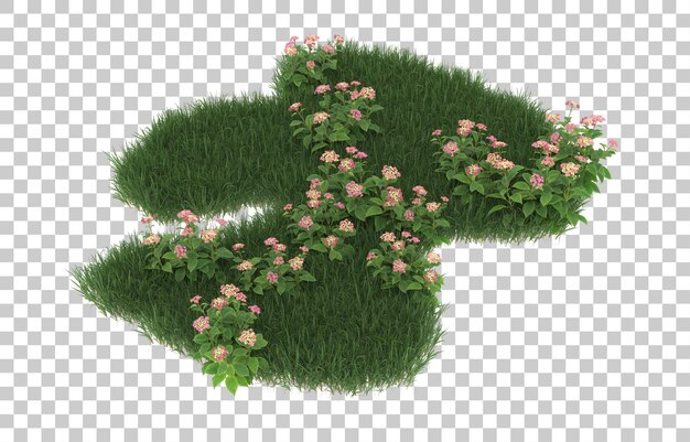 Grass and flowers on transparent background. 3d rendering - illustration