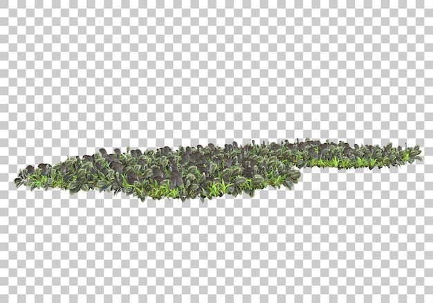 Grass island on transparent background 3d rendering illustration