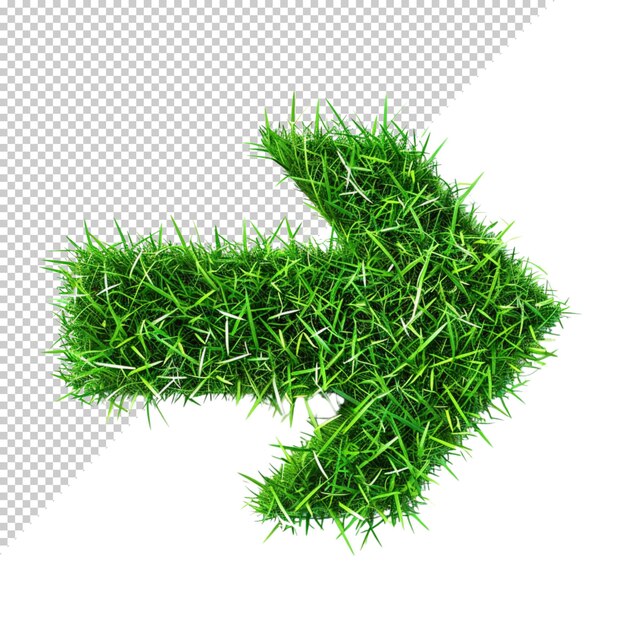 Grass isolated on transparent background