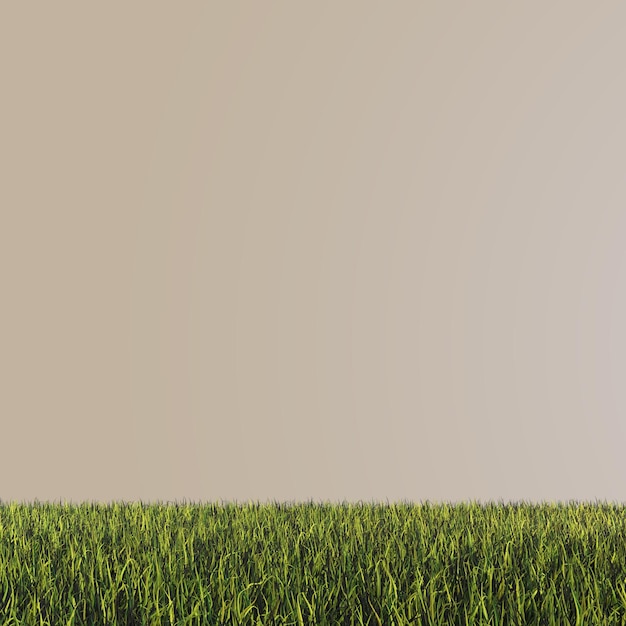 PSD grass png texture