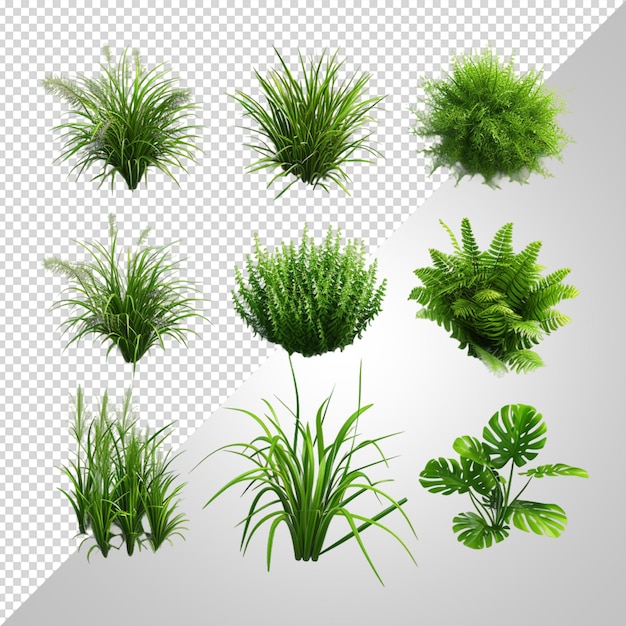 PSD grass png