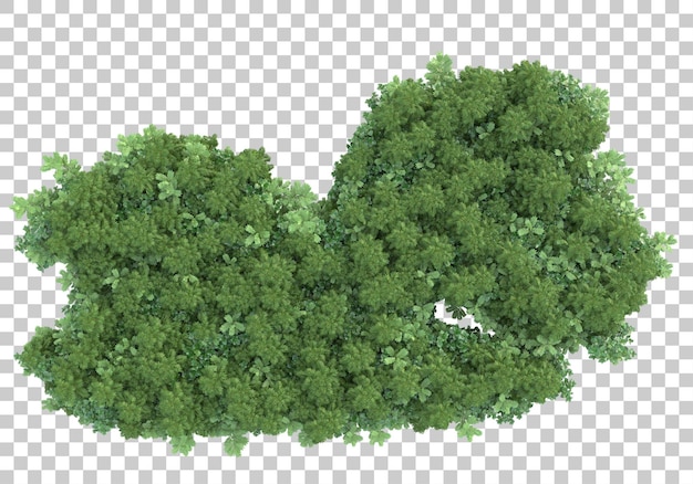 Grass scene on transparent background 3d rendering illustration