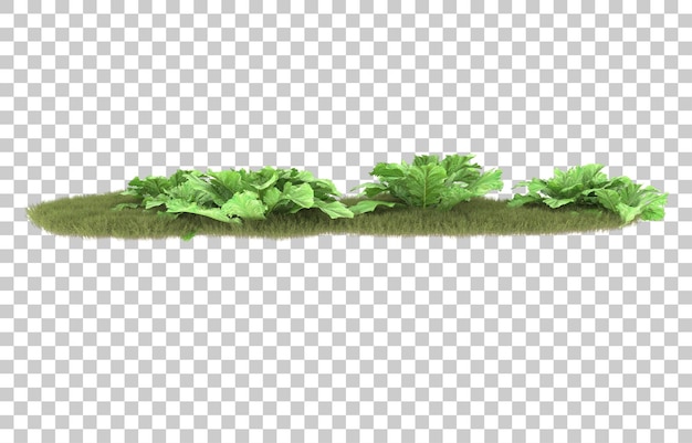 Grass on transparent background. 3d rendering - illustration