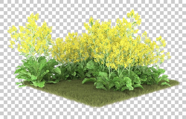 Grass on transparent background. 3d rendering - illustration