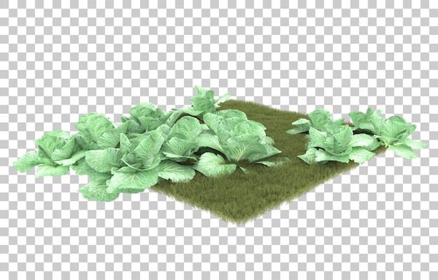 Grass on transparent background. 3d rendering - illustration