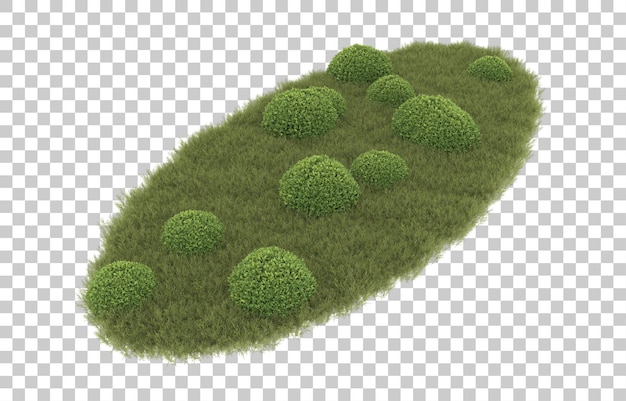 Grass on transparent background. 3d rendering - illustration