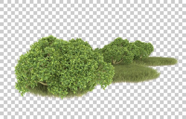 Grass on transparent background. 3d rendering - illustration