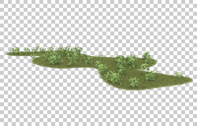 Grass on transparent background. 3d rendering - illustration