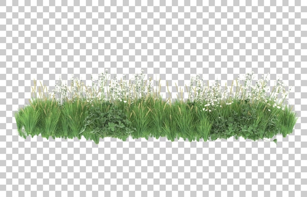 Grass on transparent background. 3d rendering - illustration