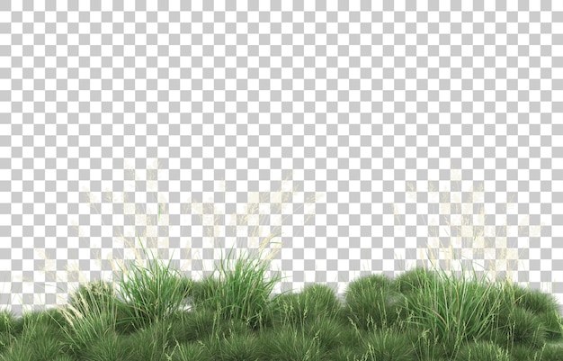 Grass on transparent background. 3d rendering - illustration