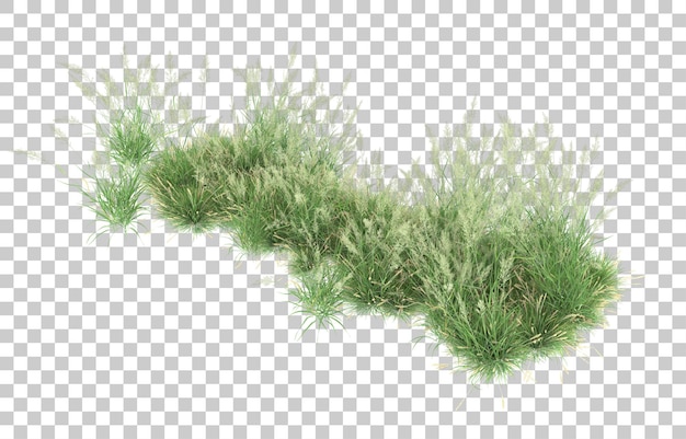 Grass on transparent background. 3d rendering - illustration