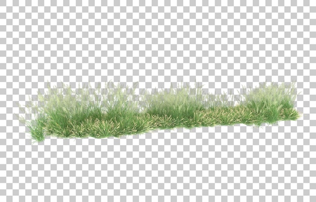 Grass on transparent background. 3d rendering - illustration