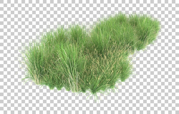 Grass on transparent background. 3d rendering - illustration