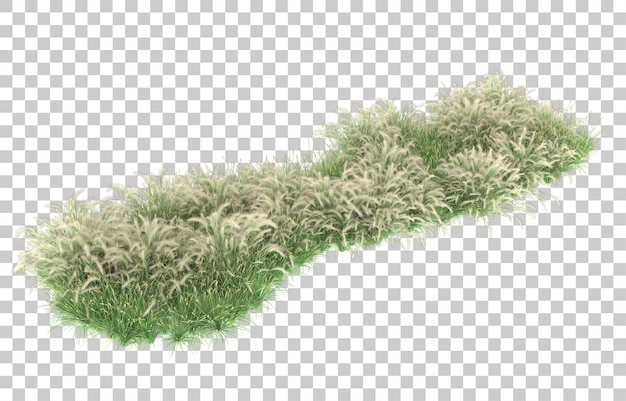 Grass on transparent background. 3d rendering - illustration