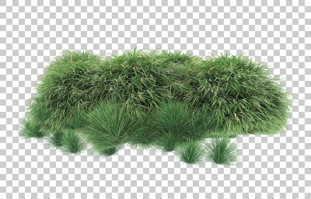 Grass on transparent background. 3d rendering - illustration