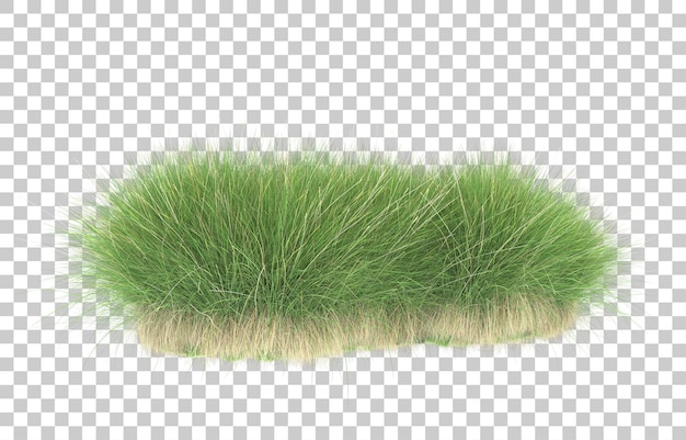 Grass on transparent background. 3d rendering - illustration