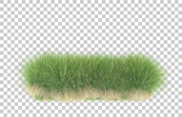 Grass on transparent background. 3d rendering - illustration