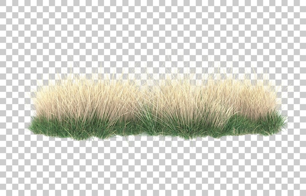 Grass on transparent background. 3d rendering - illustration