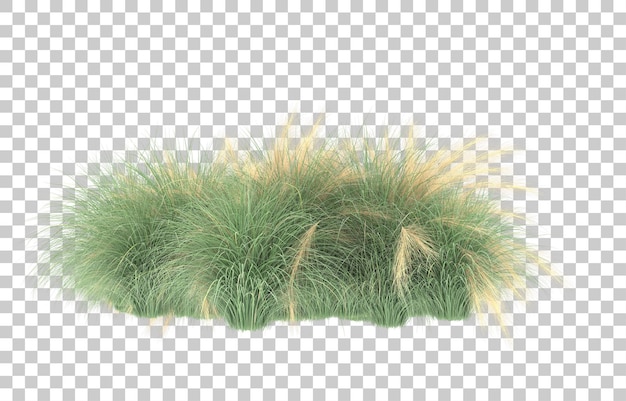 Grass on transparent background. 3d rendering - illustration