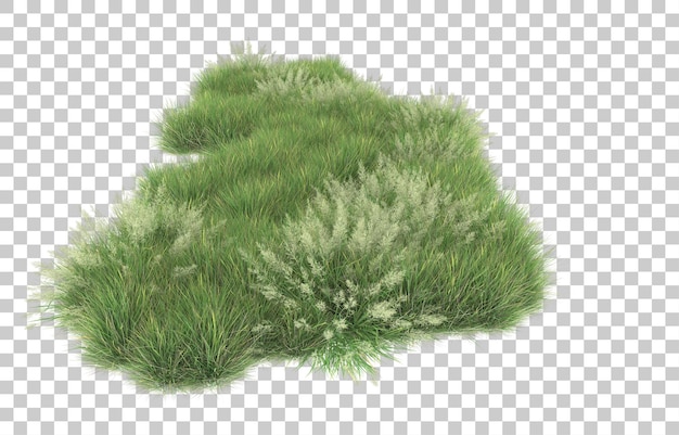 Grass on transparent background. 3d rendering - illustration