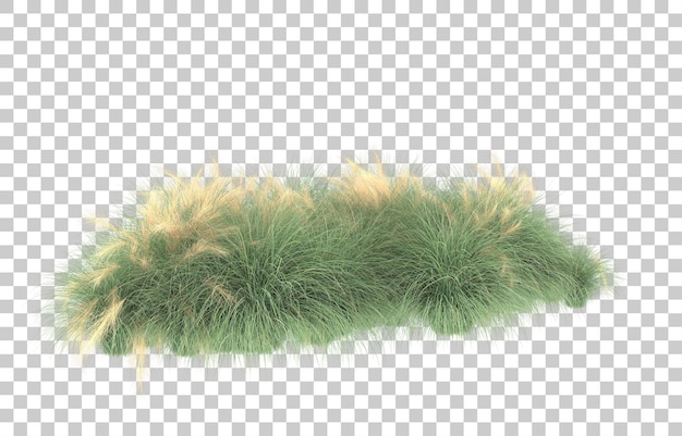 Grass on transparent background. 3d rendering - illustration