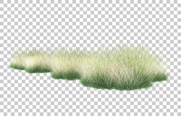 Grass on transparent background. 3d rendering - illustration