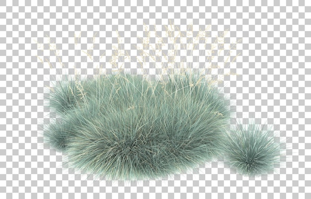 Grass on transparent background. 3d rendering - illustration