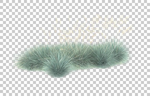 Grass on transparent background. 3d rendering - illustration