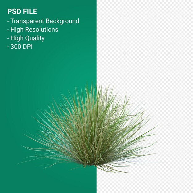 grass tree 3d render isolated