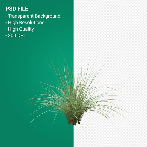 Grass tree 3d render isolated 