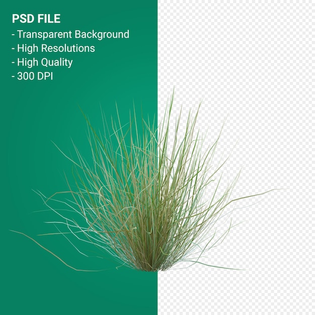 Grass tree 3d render isolated