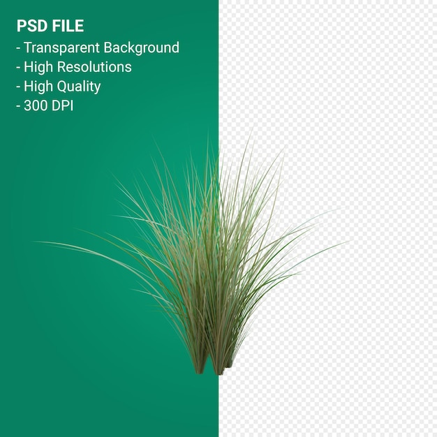 Grass tree 3d render isolated 