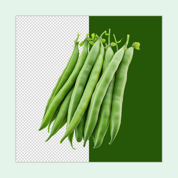 PSD green bean isolated french beans psd french beans illustration