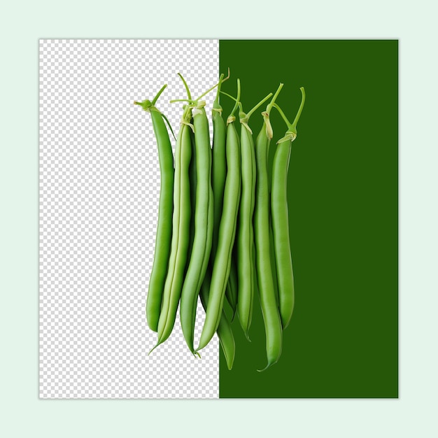 Green bean isolated French beans PSD French beans illustration