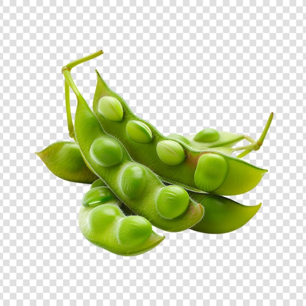 PSD green beans isolated on transparent background