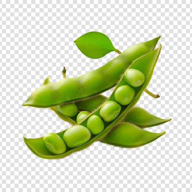 PSD green beans isolated on transparent background