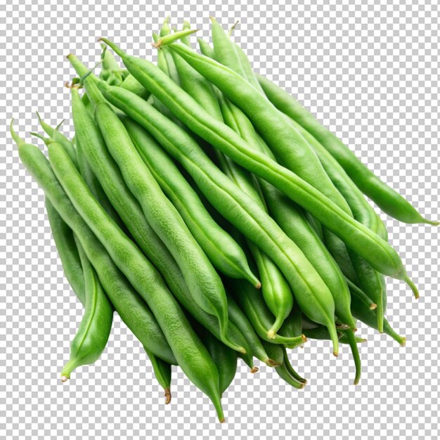 green beans or string beans isolated