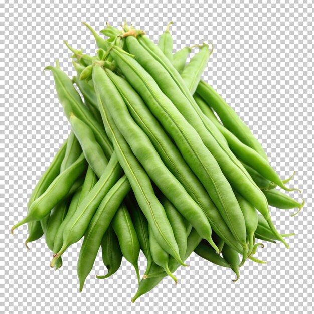 green beans or string beans isolated