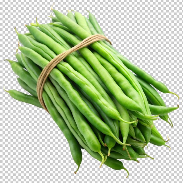 green beans or string beans isolated