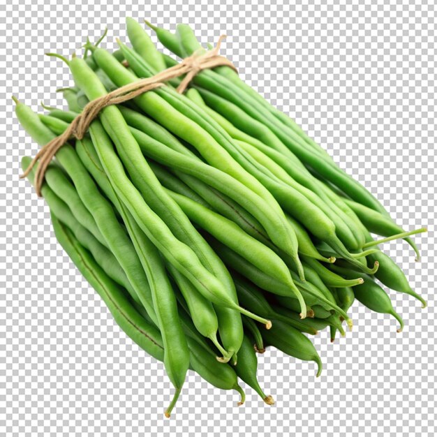 green beans or string beans isolated