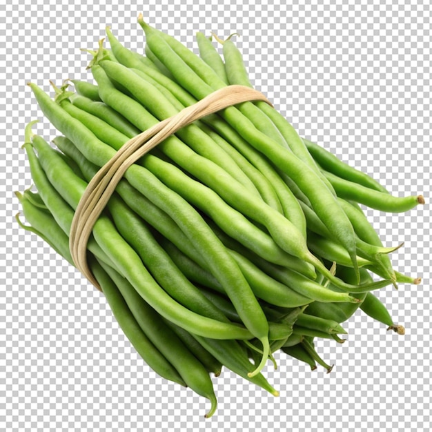 green beans or string beans isolated