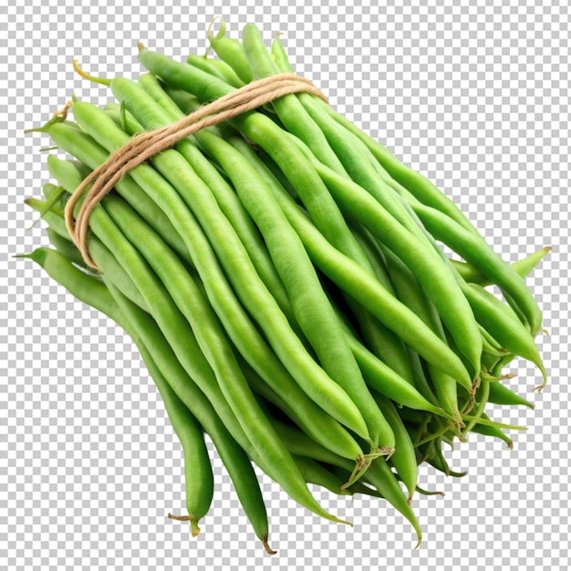 green beans or string beans isolated